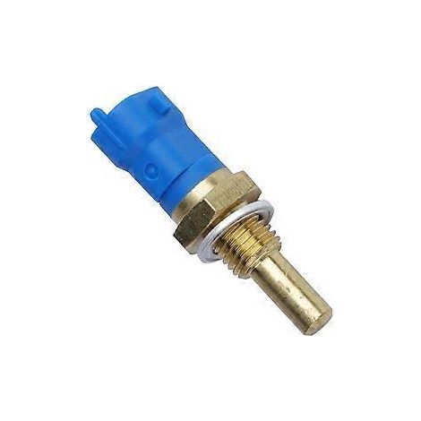 Motorkühlmitteltemperatursensor 7421531072 4213839 für