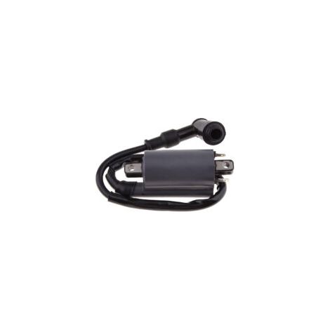 Bobine d'allumage pour moteur Buyang 260 260cc 300cc D300 G300