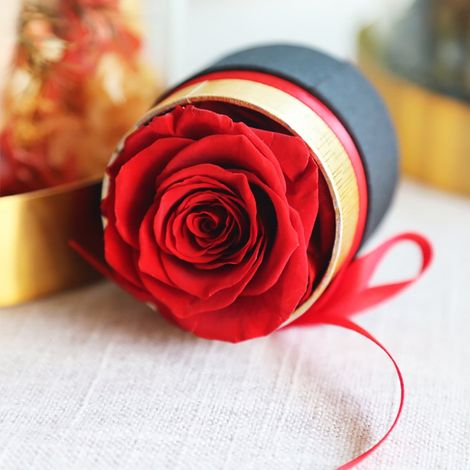 Rose Préserver - Rose Réelle Préserver - Boîte Ronde Noire - 1 Unité - 6,5 x 6,5 x 7,5 cm (1/5)
