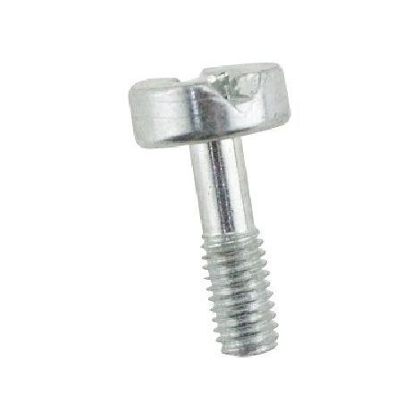 Tornillo Tapa De Bujia compatible con Ts410  Ref 500565