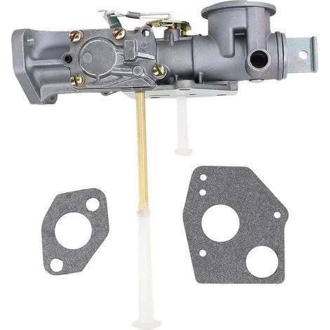 Carburateur & Joint pour Briggs & Stratton 498298 692784 495951 495426 692784 492611 490533 Série 5hp Moteurs 112202 112212 112231 112232 112252 133202 133212 133232 134202 135202 (1/5)