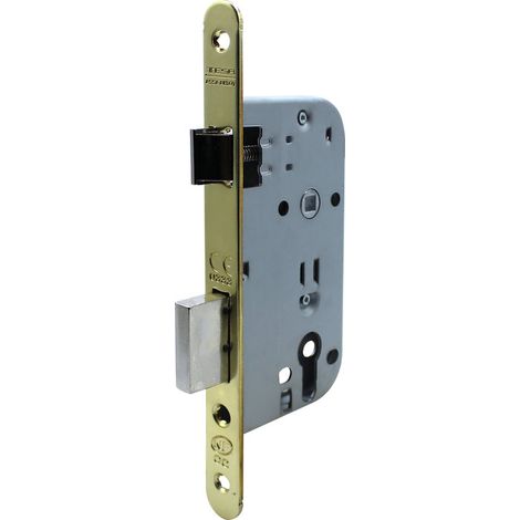 Serrure de sûreté à larder NF QC série 4130 QC axe à 40 mm têtière acier laitonnée à cylindre - Tesa securité (1/2)