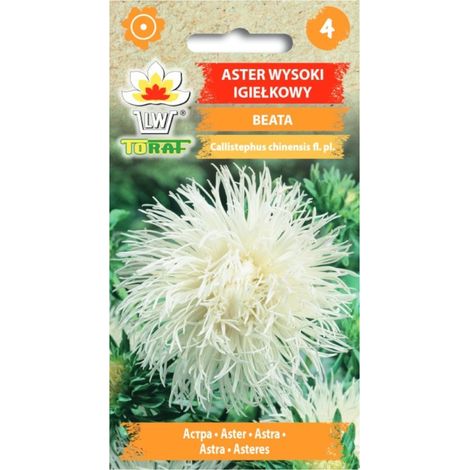 Aster bianco alto e aghiforme, 1 g