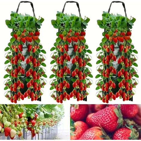 3pcs Fraise cultiver sac suspendu planteur fleur suspendu sac plantes de remorque