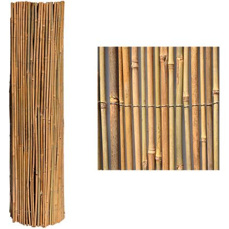 ARELLA FILO ESTERNO 'MISTER' cm 250 x 300
