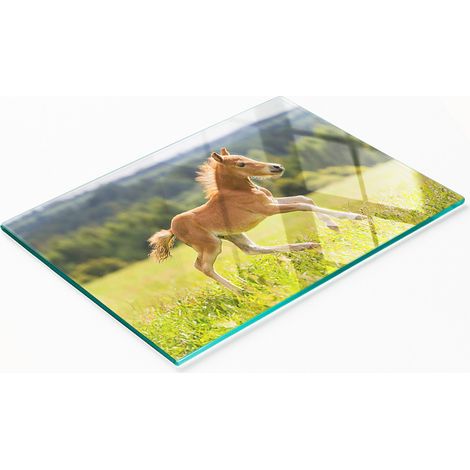 Tagliere da cucina decorativo in vetro con puledro al galoppo, 80x52 cm (1/5)