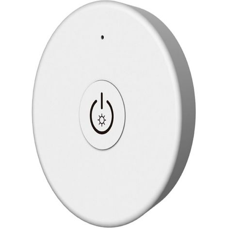 Control Remoto Tipo Regulador Mini Blanco (1/2)