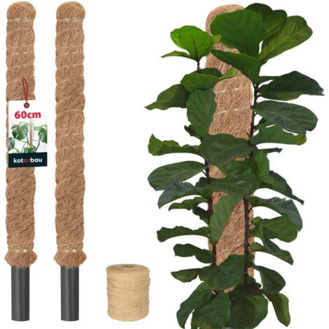 2 pcs Tuteur Plante - Tuteur Coco - ⌀ 3.2 x 60 cm - Fibre de Coco - Tuteurs pour Monstera - Marron - pour Plantes Grimpantes-NANOTEH (1/5)