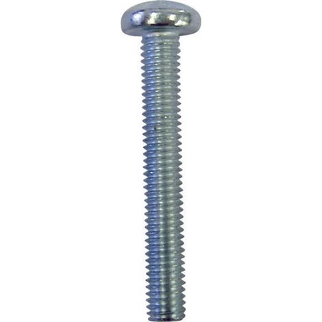 TOOLCRAFT 839892 Viti a testa bombata M4 10 mm Impronta T DIN 7985 Acciaio inox 100 pz.
