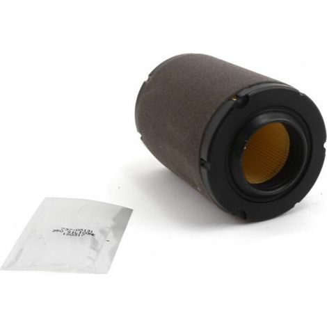 Filtre a air cub cadet ohv mtd thorx 382439c