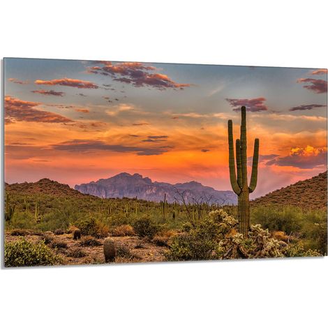 Glasschutzplatte für den Herd 80x52 Berge (1/5)