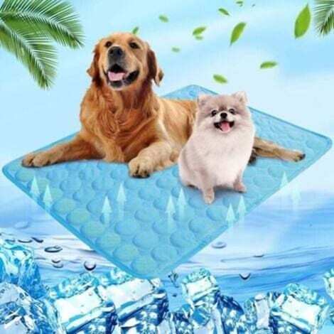 60 x 50 cm Tapis rafraîchissant pour chien et chat - Pour l'été - Auto-rafraîchissant - Lavable - Coussin rafraîchissant imperméable - Antidérapant - Confortable - Bleu - M (1/4)