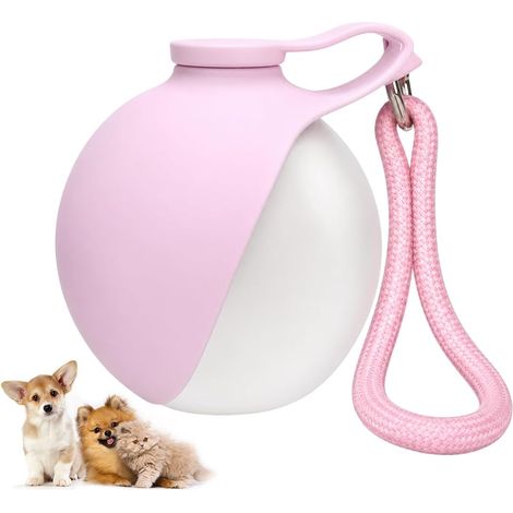 Gourde Pour Chien Promenade,285ml Bouteille Eau Chien En Acier Inoxydable,Gourde Anti-Fuite Avec Gamelle Pliable En Silicone,Bouteille d'Eau Portable Pour Chiens Balades Voyages Camping (1/5)