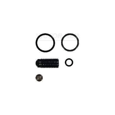 KIT DE RÉPARATION 154211901 REINZ