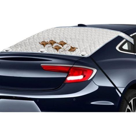 Bâche pare brise voiture - Protection hiver et gel Résistant UV et poussière - Protection véhicule universelle (1/4)