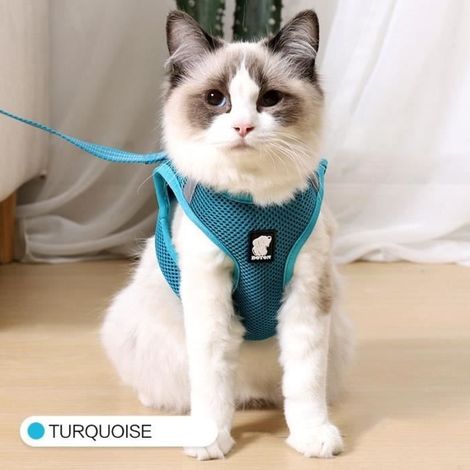 Harnais et laisse pour chat en maille réglable - Laisses Colliers - Type Turquoise-XS - Bleu (1/4)