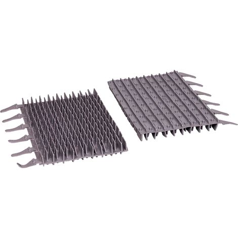 Cepillos Zodiac CyclonX R0633100 (Pack 2 uds) – Repuesto original