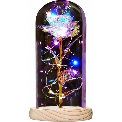 Rose éternelle sous cloche en verre, rose artificielle avec lumières LED, cadeau pour femme (1/5)