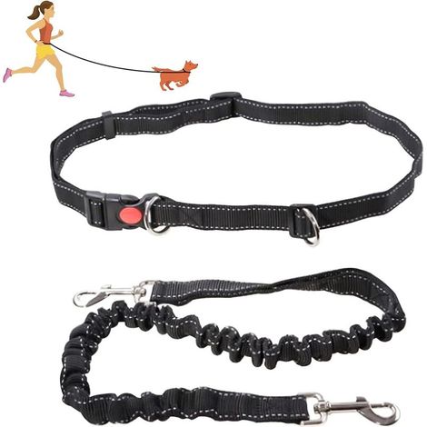 QAZQA Laisse pour Chien Mains Libres, 1 PCS Laisse de Chien Réglable Ceinture de Taille Laisse de Course à L'Élastique Réfléchissante avec Ceinture Réglable, Noir