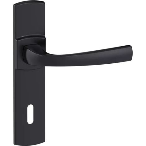 Ensemble de poignée Muze sur plaque - BEZAULT - Onyx noir mat - Plaque 185 x 41 mm - entraxe de fixation 165 mm - Clé L