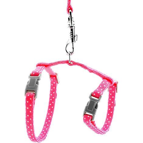 Ensemble harnais et laisse pour chat pour animaux de compagnie rose- (1/3)