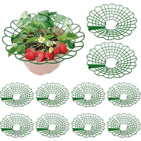 Lot de 10 supports pour fraises anti-poussière, protège escargots et pourriture, balcon, Cuneary (1/5)