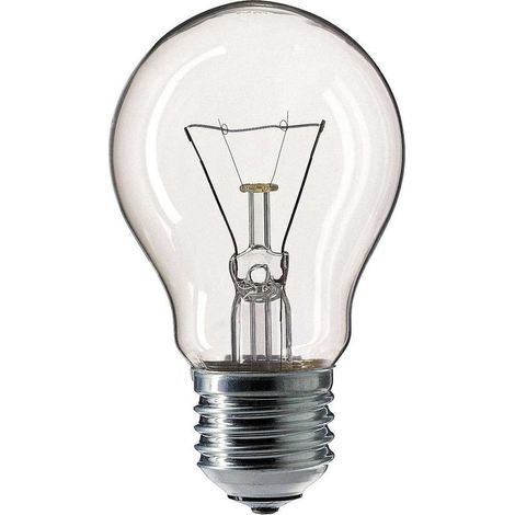 Ampoule E27 A55 24V 40W Basse Tension pour Éclairage Intérieur et Extérieur (1/2)