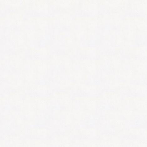 Renovlies ECO Vliestapet 20x1m 20m2 (130g/m2) (1/3)