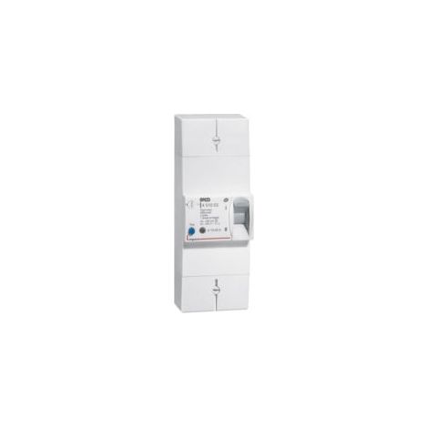 Legrand – Disjoncteur bipolaire 60A – Protection contre surcharges et courts-circuits – Réglage de calibre pour puissance limitée – 250V~
