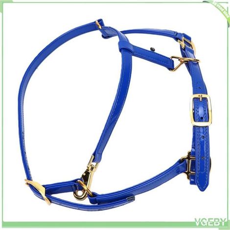 Licol cheval - FAFEICY - LT4009 - Cuir émaillé 20 mm - Boucles alliage doré - Imperméable, anti-odeurs (1/5)
