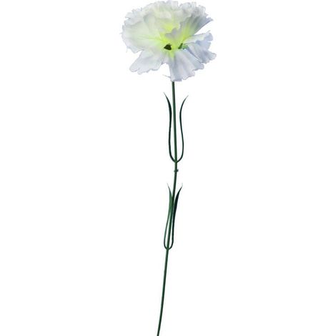 Garofano bianco singolo 46 cm (1/3)