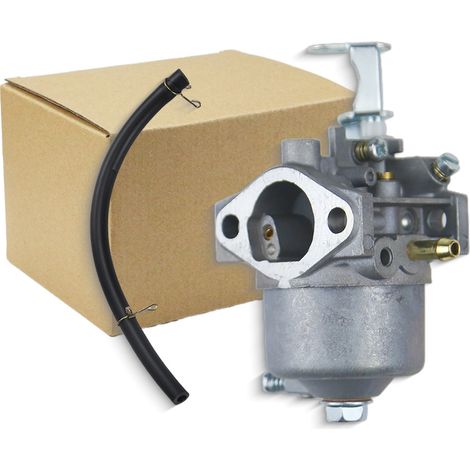 Carburateur pour moteurs à arbre vertical 1P56F, P15Q-2, P15Q-3, P15Q-4 pour balayeuses à neige et tondeuses à gazon (1/2)