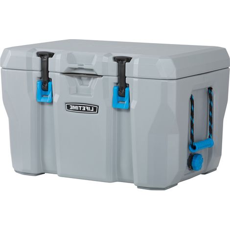 Lifetime Kunststoff Kühlbox Premium 52 L passive Kühlbox Grau 44x69x44 cm (1/5)