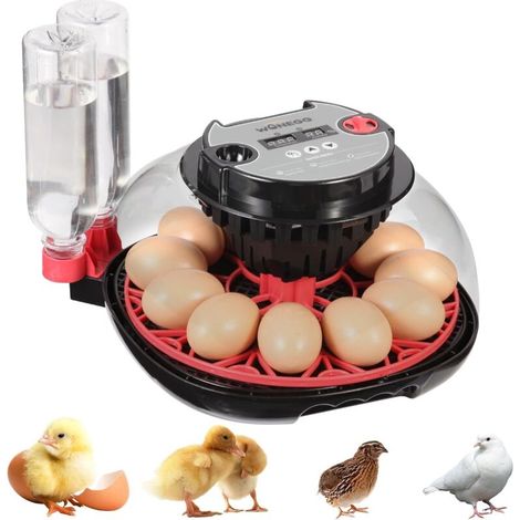Incubateur pour 12 œufs avec rotation automatique, contrôle de l'humidité, mire-œufs à LED et ajout d'eau automatique, pour l'éclosion des œufs de poule, d'oie, de canard, de caille, de pigeon et de d