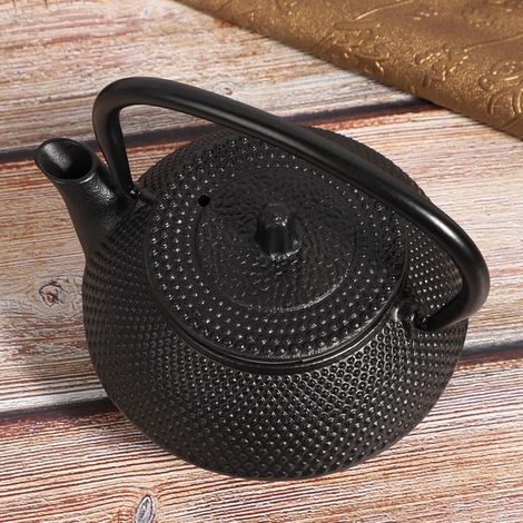 Théière élégante en Fonte 0,3 L, Bouilloire en Fer avec Passoire, sur le Modèle d'une Chaudière à thé Traditionnelle Japonaise - Idéale pour un Usage Domestique (1/5)
