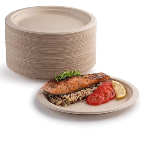 assiettes en carton biodégradables et compostables, pour les pique-niques et les (25,4 cm) (1/5)