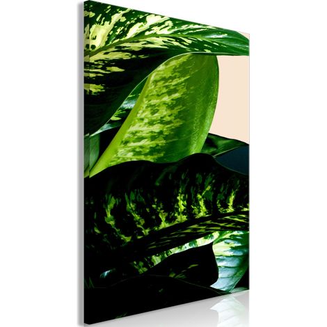Bild – Dieffenbachia (1-teilig) vertikal (1/3)