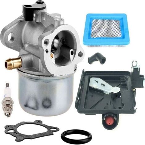 Carburateur 799868 pour carburateur Briggs & Stratton 498170 799872 694202 497586 498254 790821 Carburateur – pour carburateur Briggs & Stratton 14111 + 795259 (1/5)