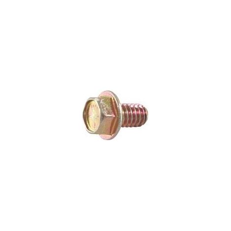 692198 - Vis pour moteur BRIGGS et STRATTON