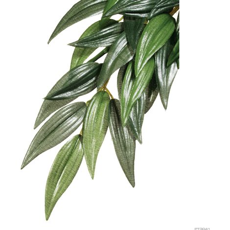 Plantas de Seda Rucus Exo Terra