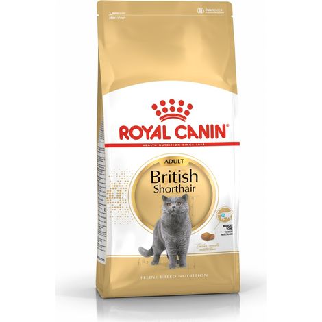 FBN British Shorthair 10 kg
