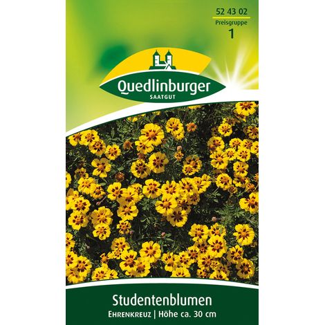 Quedlinburger Saatgut – Œillet d'Inde Ehrenkreuz – Graines de fleurs, hauteur env. 30 cm, environ 40 plants (1/2)
