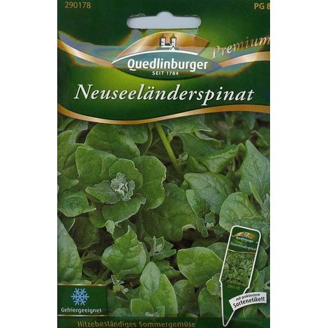 Quedlinburger Neuseeländerspinat - Premium Gemüsesamen (1/2)