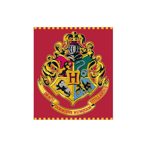 Manta Hogwarts Harry Potter premium coralina