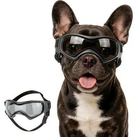 Lunettes de sécurité réglables pour chiens de petite et moyenne taille, protection UV, antireflets, noires.