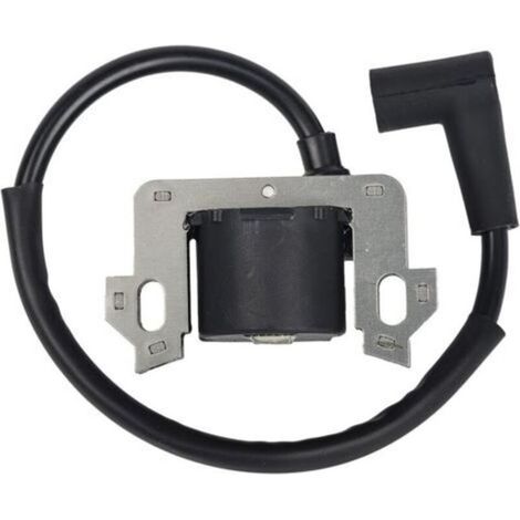 Module de Bobine D'allumage Compatible avec Honda GCV135 GCV160 GCV190 GSV160 (1/4)