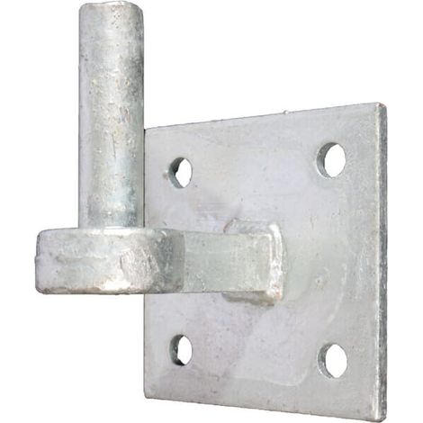 Haken auf Platte Durchmesser19x65 100x100 WAELBERS WAE81831305