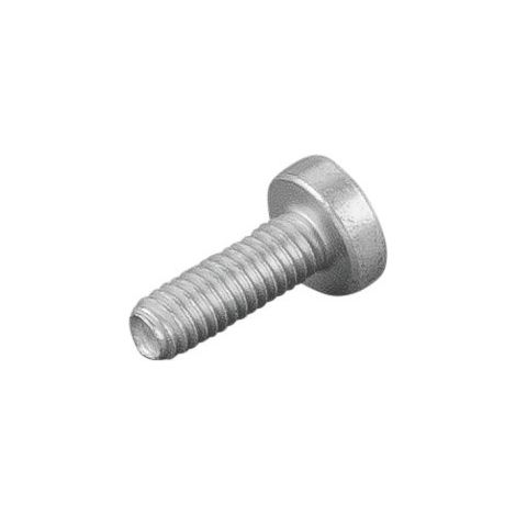 Linsenschraube 083137