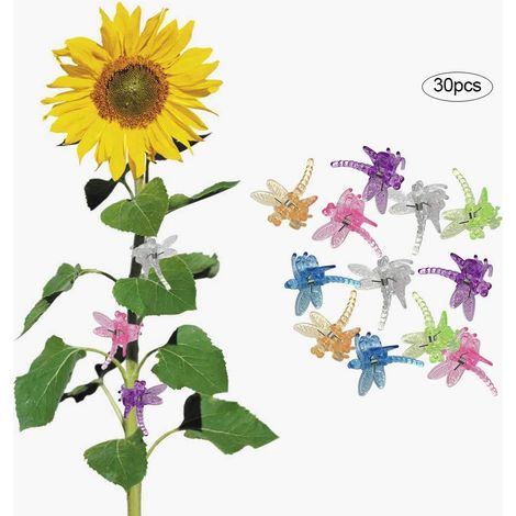 Papillon Orchidée Clips Clip Plante de Réutilisable Clips de Jardin Réglable Pinces à Ressort Support de Plante pour Orchid & Phalaenopsis, Libellule, 30 Pièces (1/5)