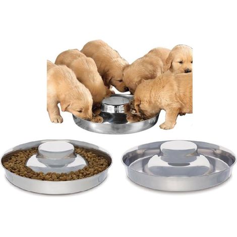 Gamelles pour chien en acier inoxydable (lot de 2) 29 cm - Convient aux chiens de petite, moyenne et grande taille. (1/5)